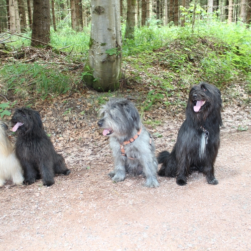Urlaub im Schwarzwald (17)